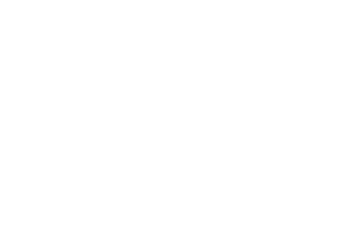 鸿鹄天成科技 Logo