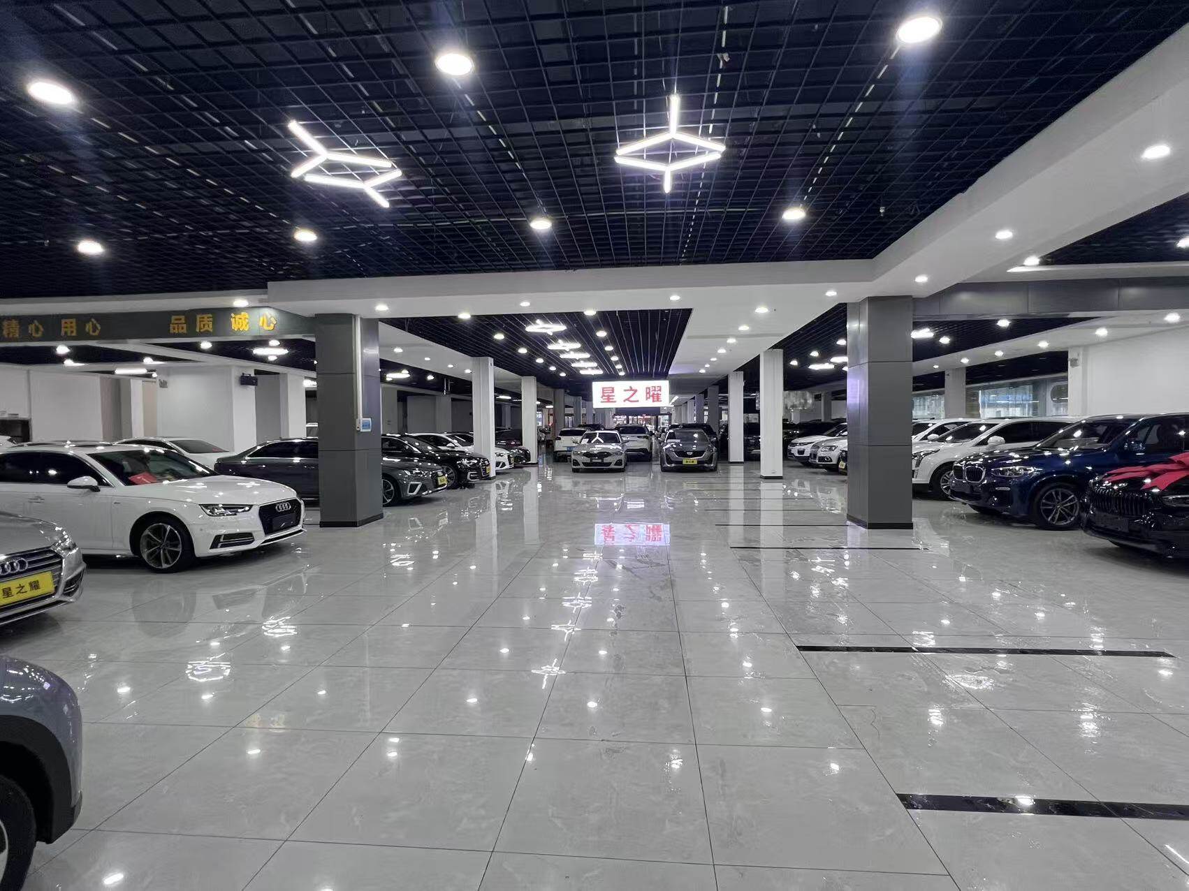 Showroom corridor with vehicle rows