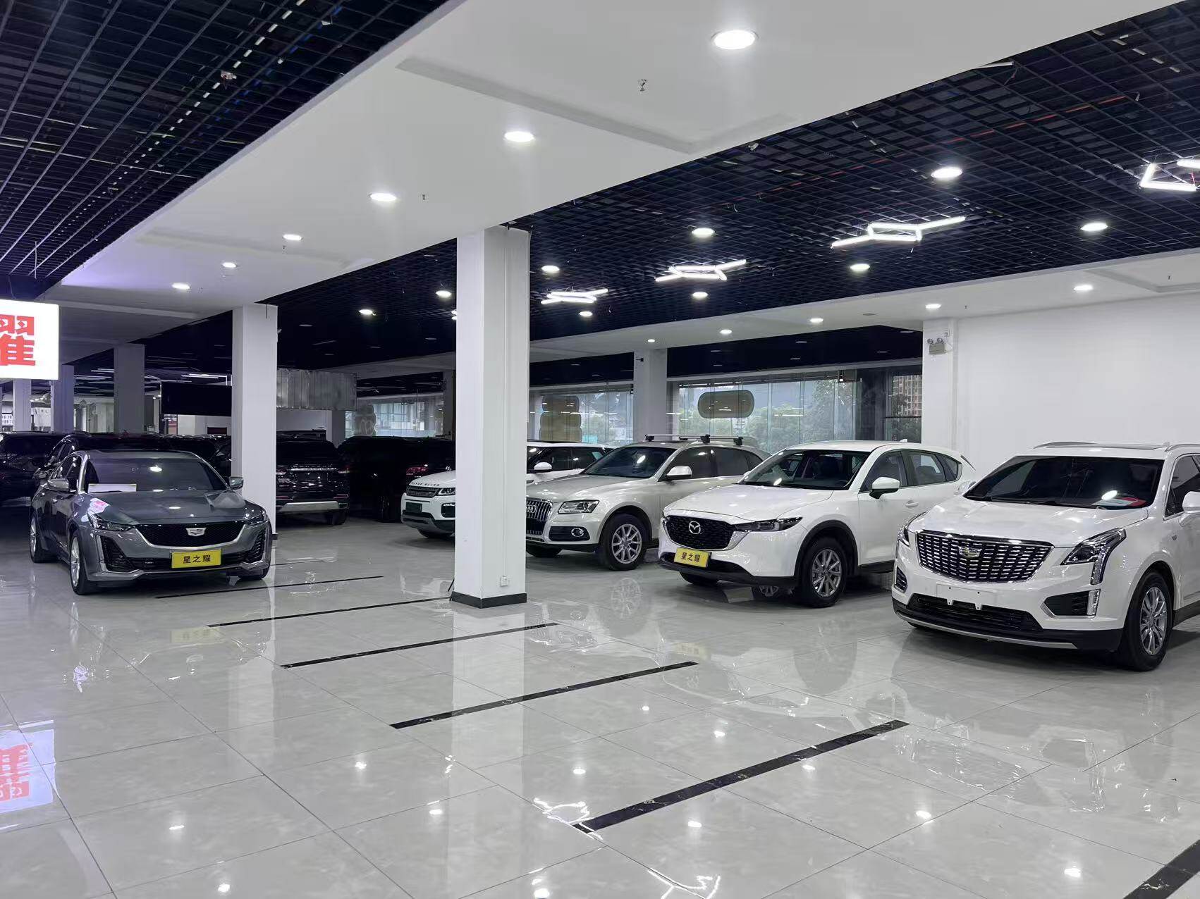Showroom with white SUVs