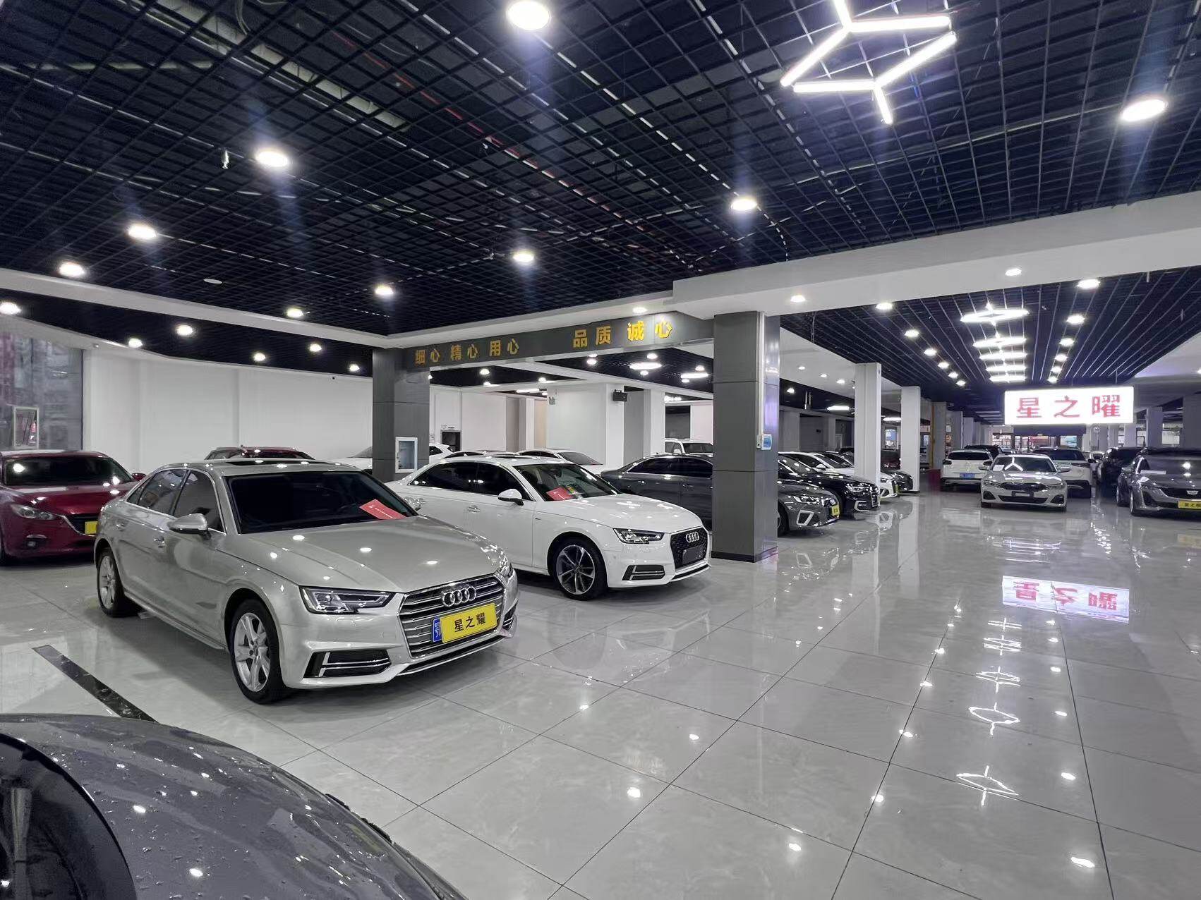 Audi vehicles in showroom