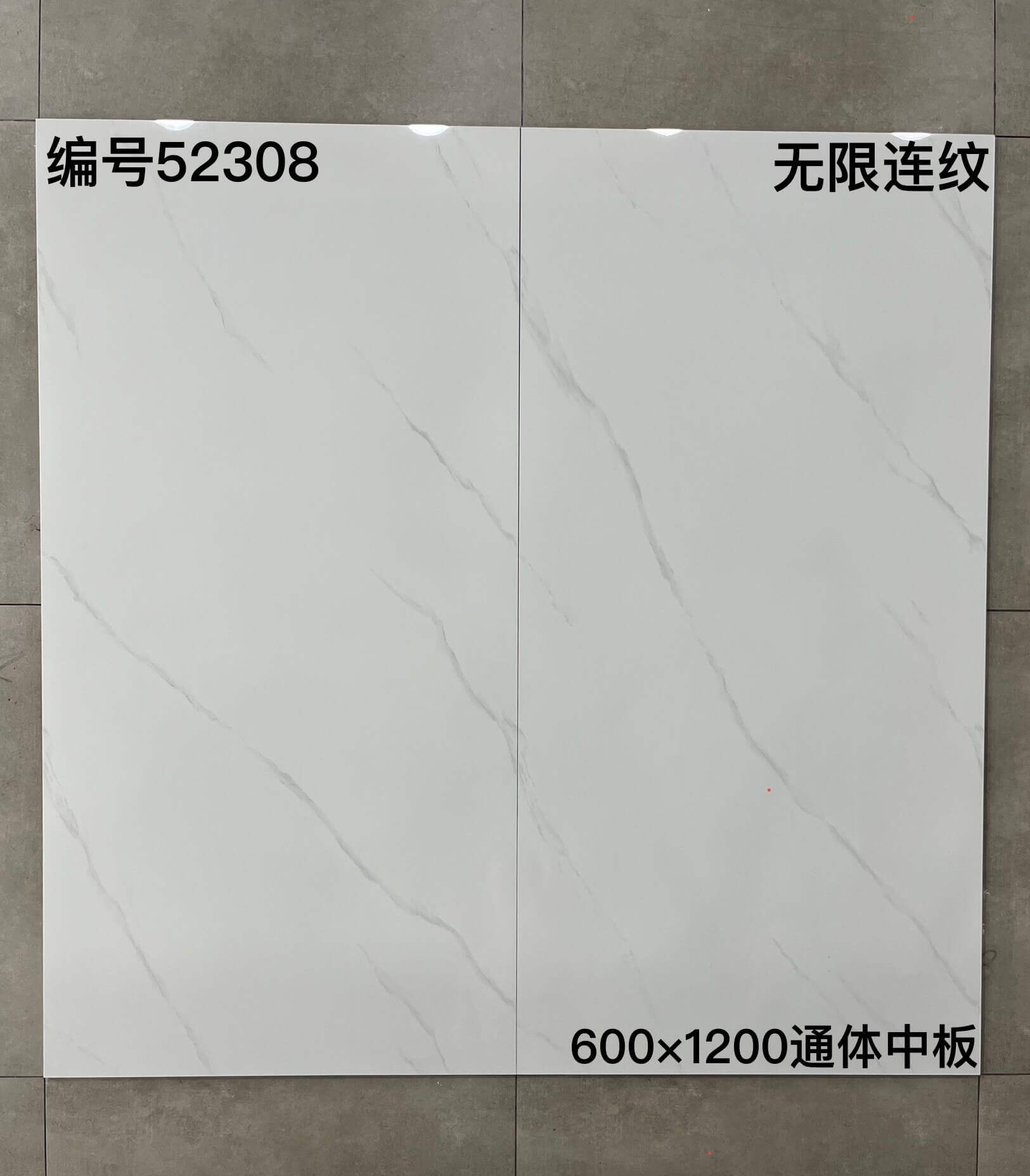 600×1200通体中板523开头-3庄 - 图片 12