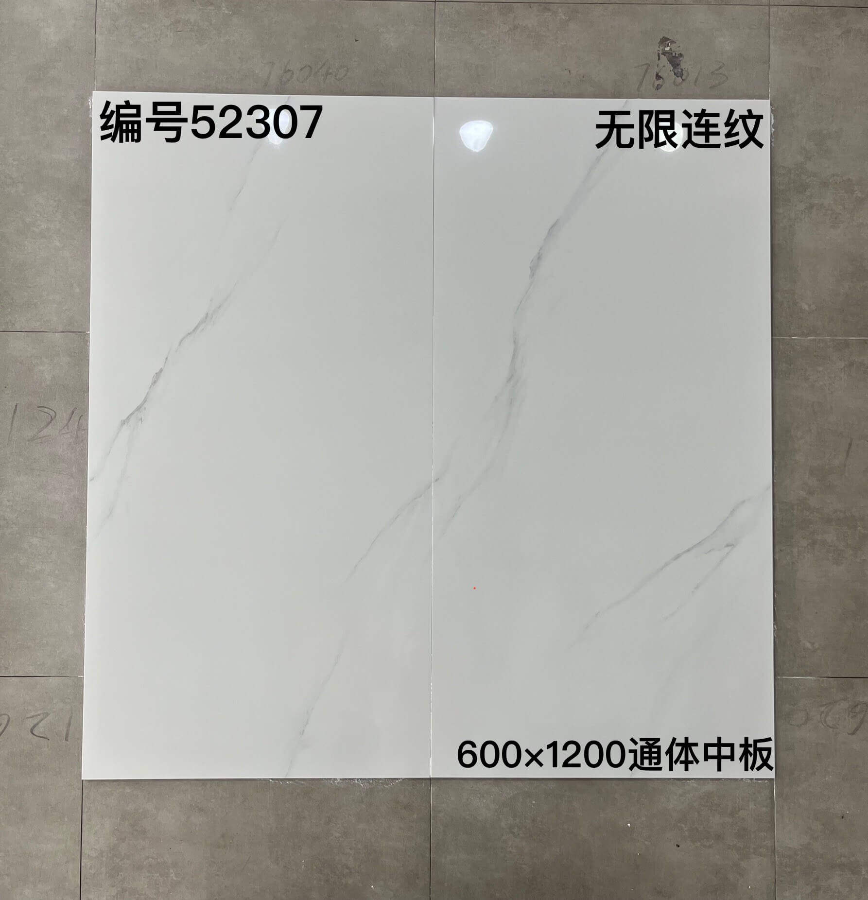600×1200通体中板523开头-3庄 - 图片 14