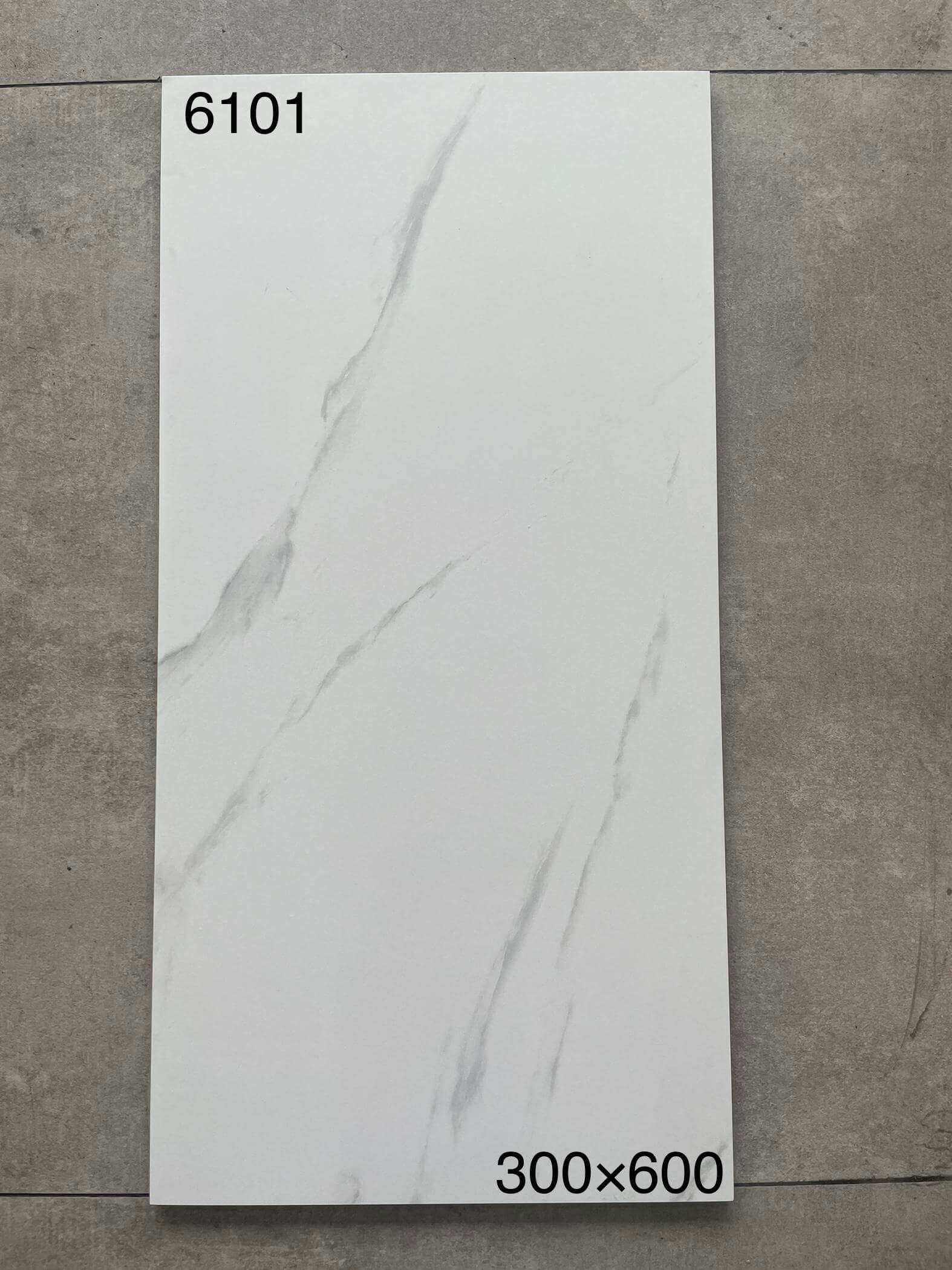 300×600仿古61开头-8庄 - 图片 18