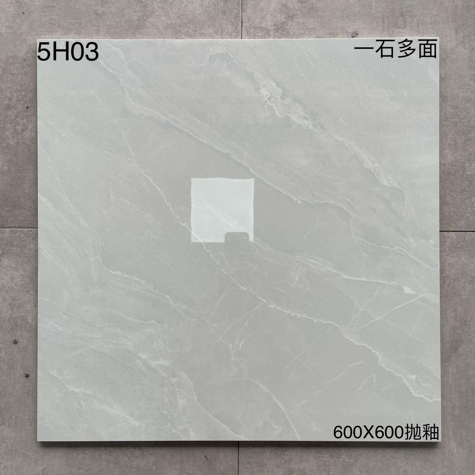600×600抛釉5H开头-4庄 - 图片 8