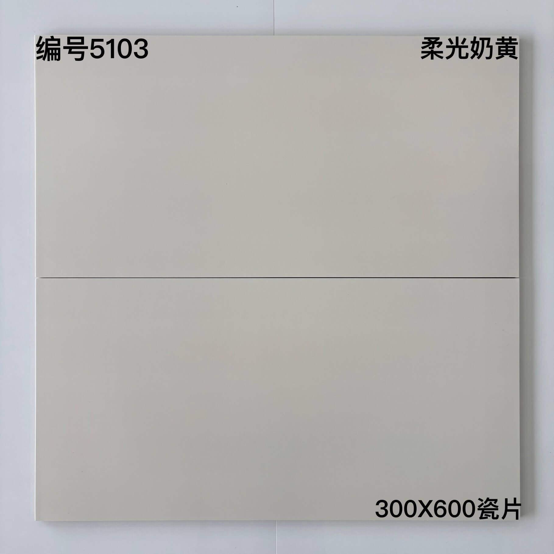 300×600肌肤釉瓷51开头-8庄 - 图片 4