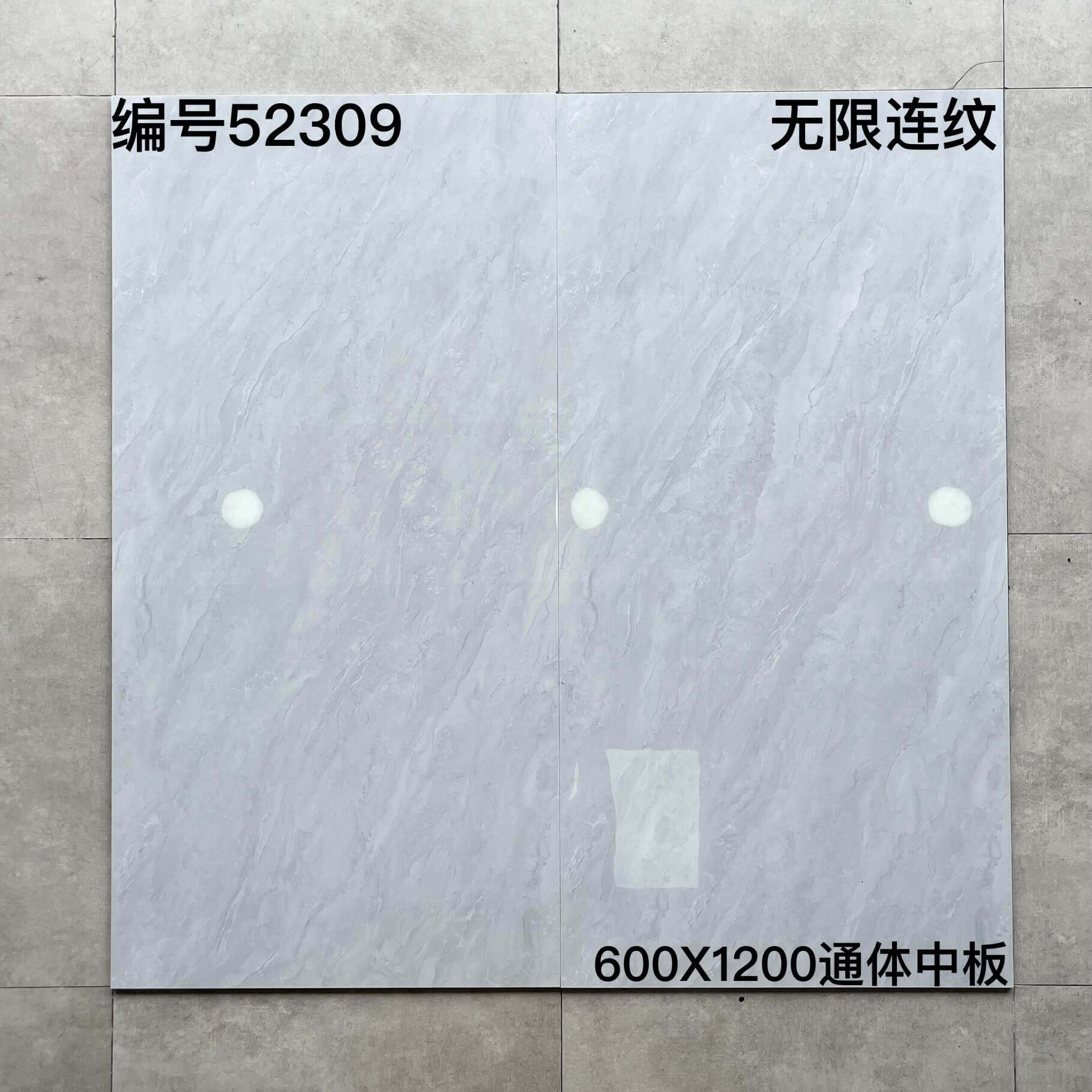600×1200通体中板523开头-3庄 - 图片 13