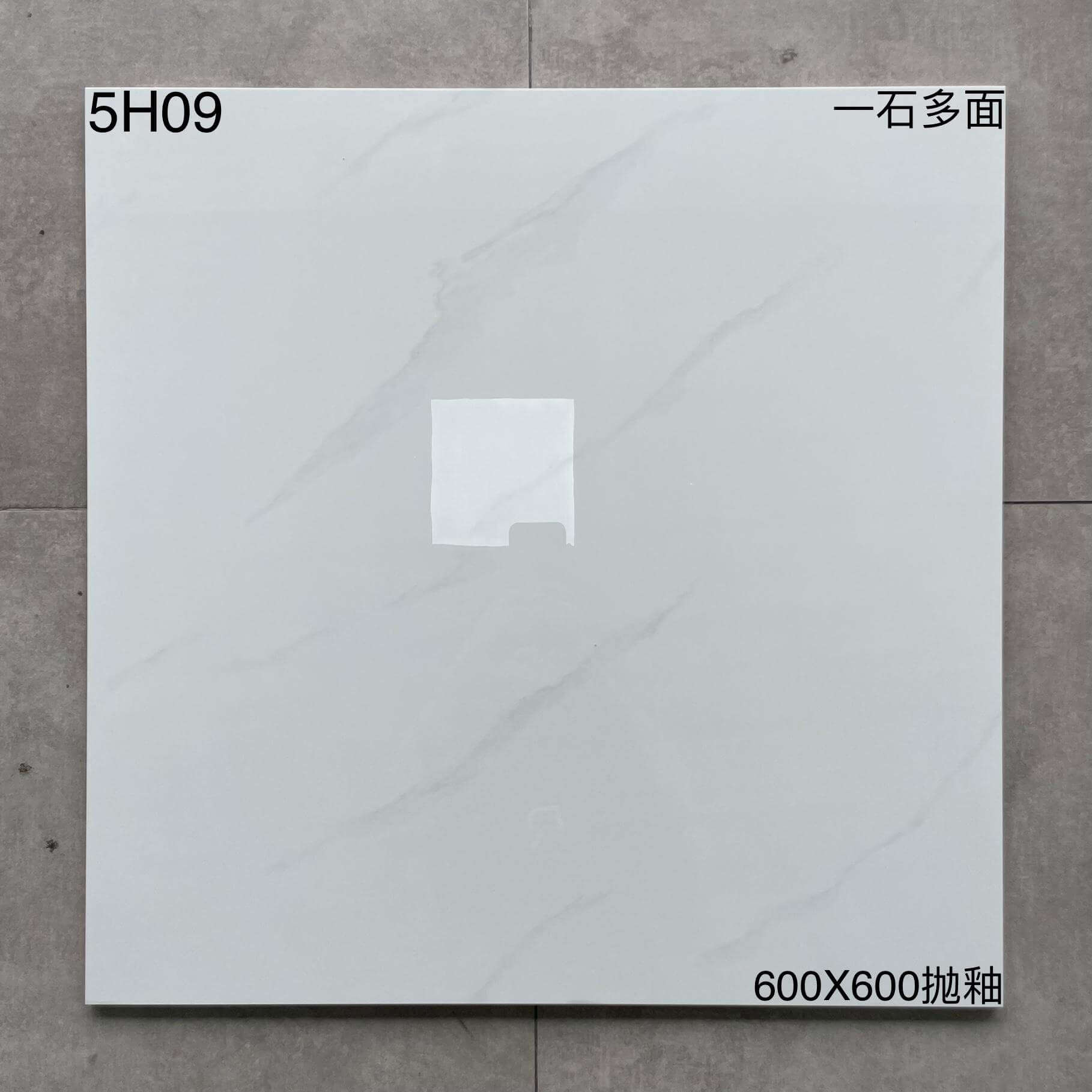 600×600抛釉5H开头-4庄 - 图片 2