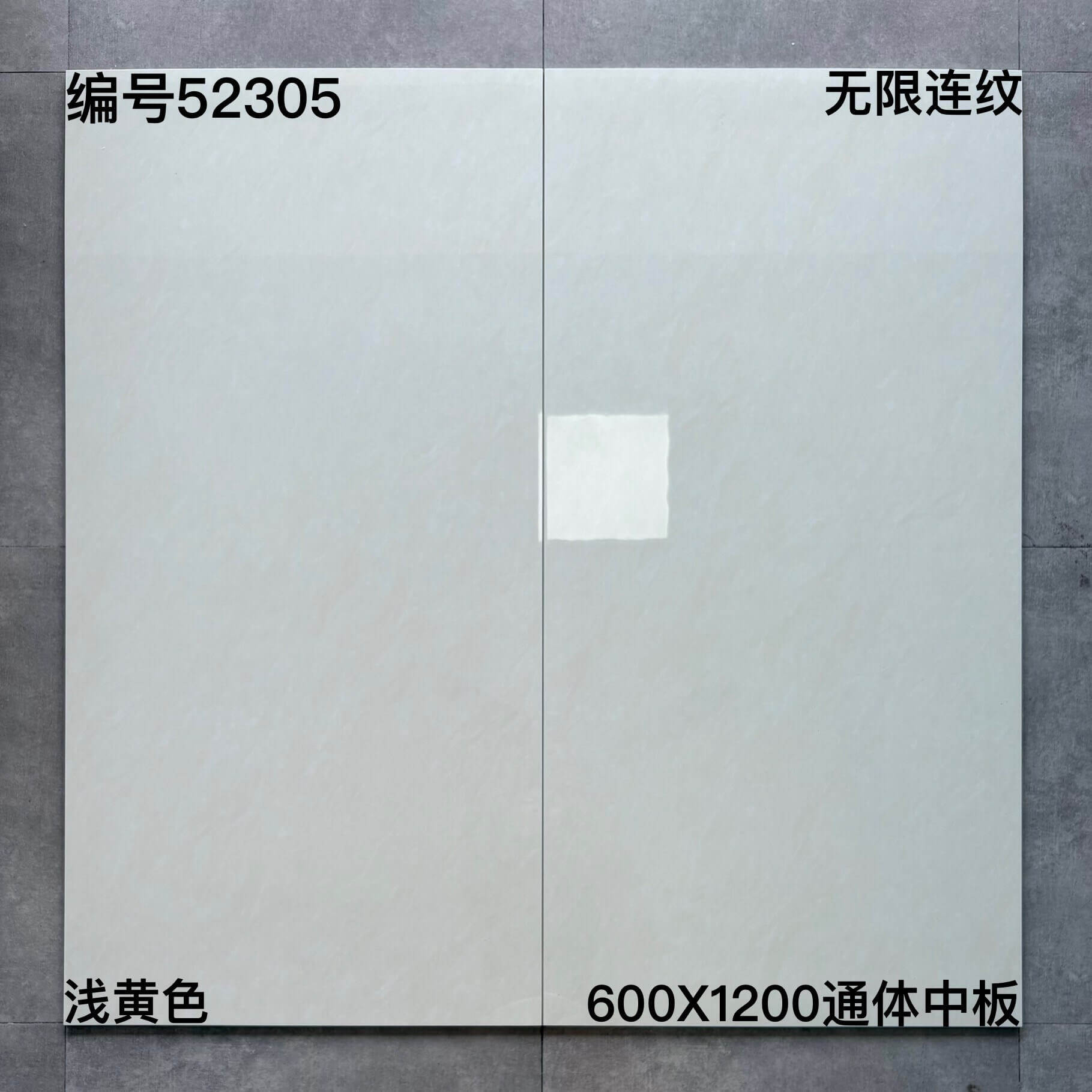 600×1200通体中板523开头-3庄 - 图片 16