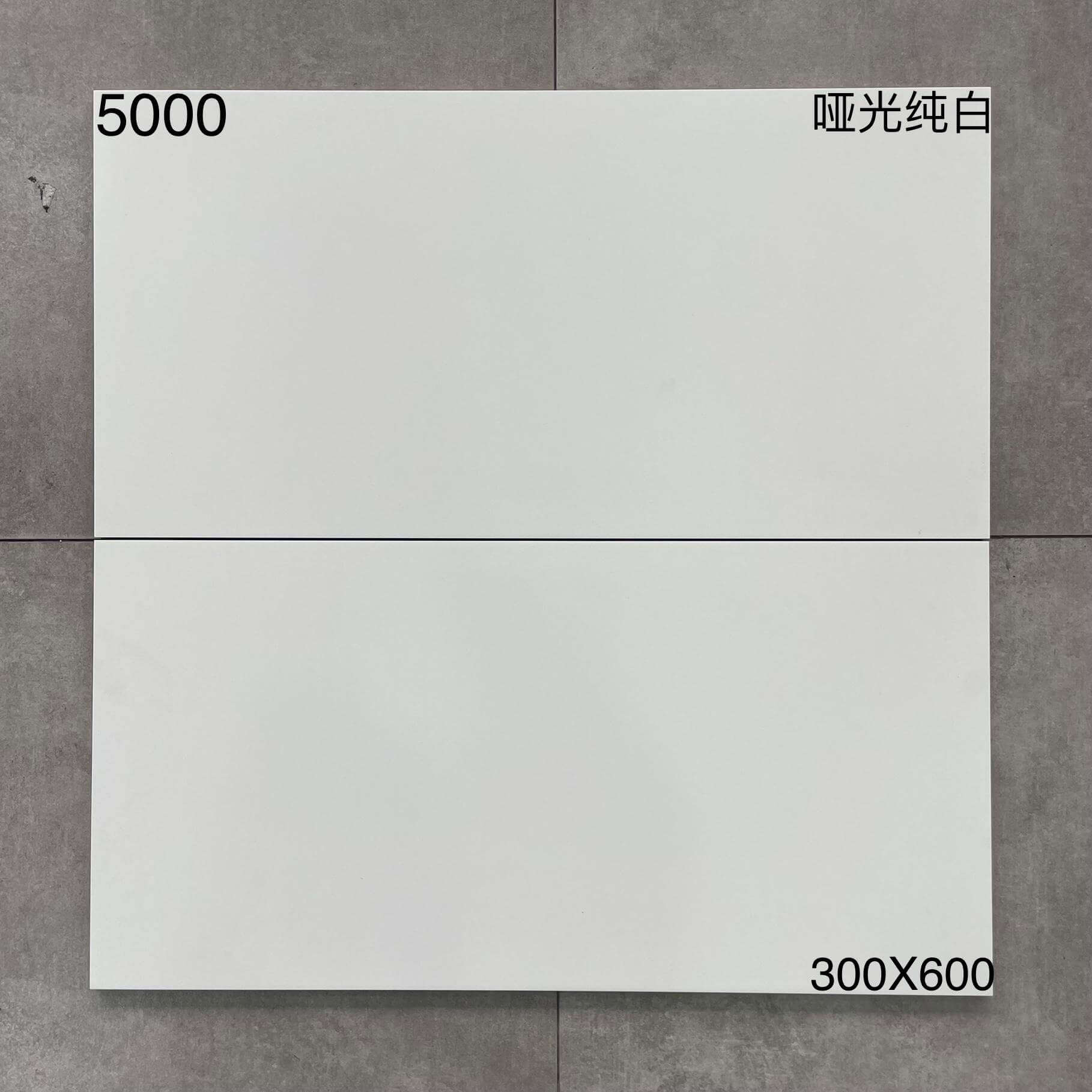 300×600肌肤釉瓷51开头-8庄 - 图片 2