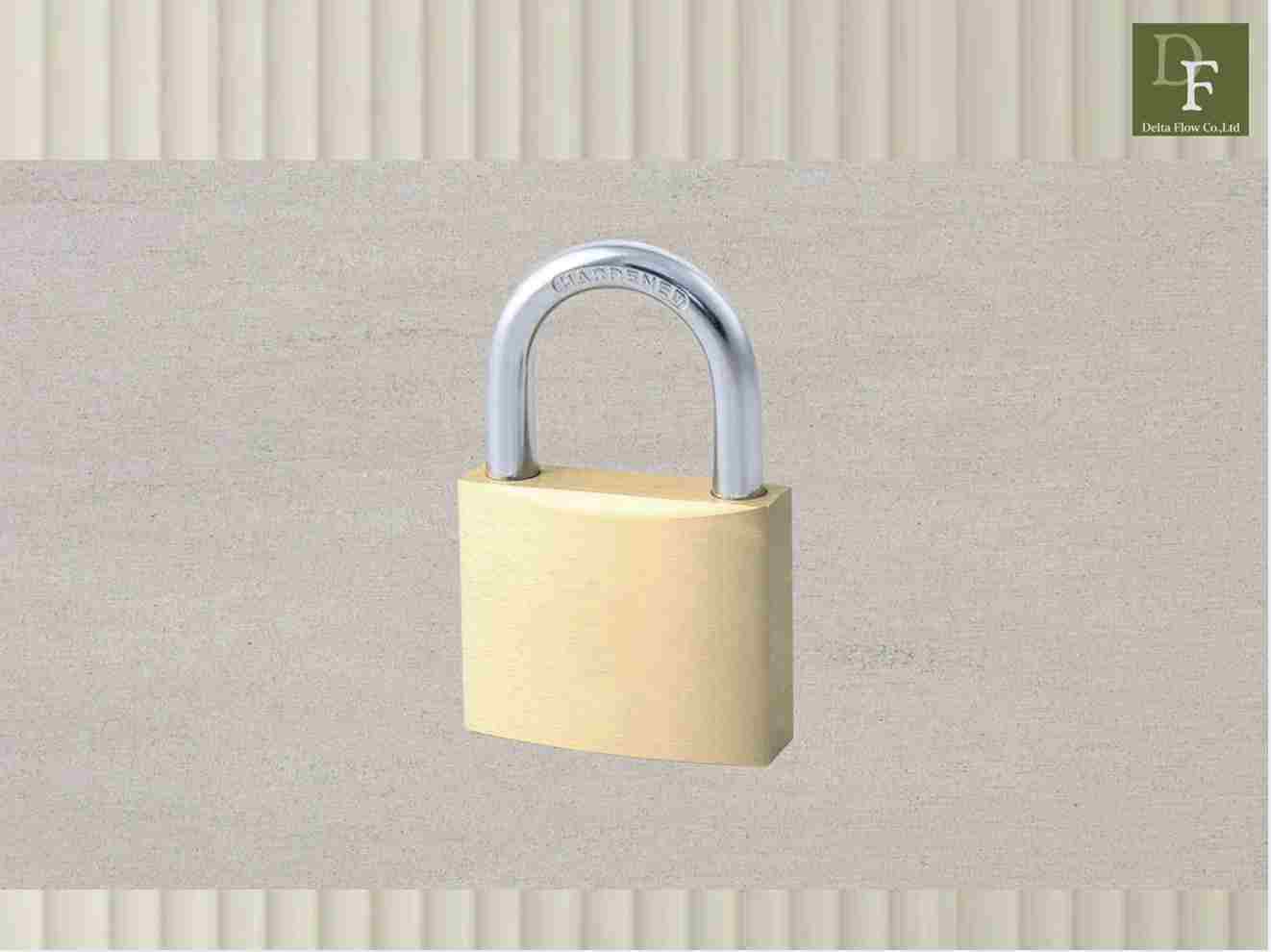 Heavy-duty brass padlock product photo