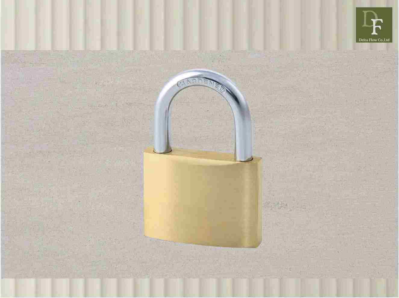 Medium-size Brass Padlock