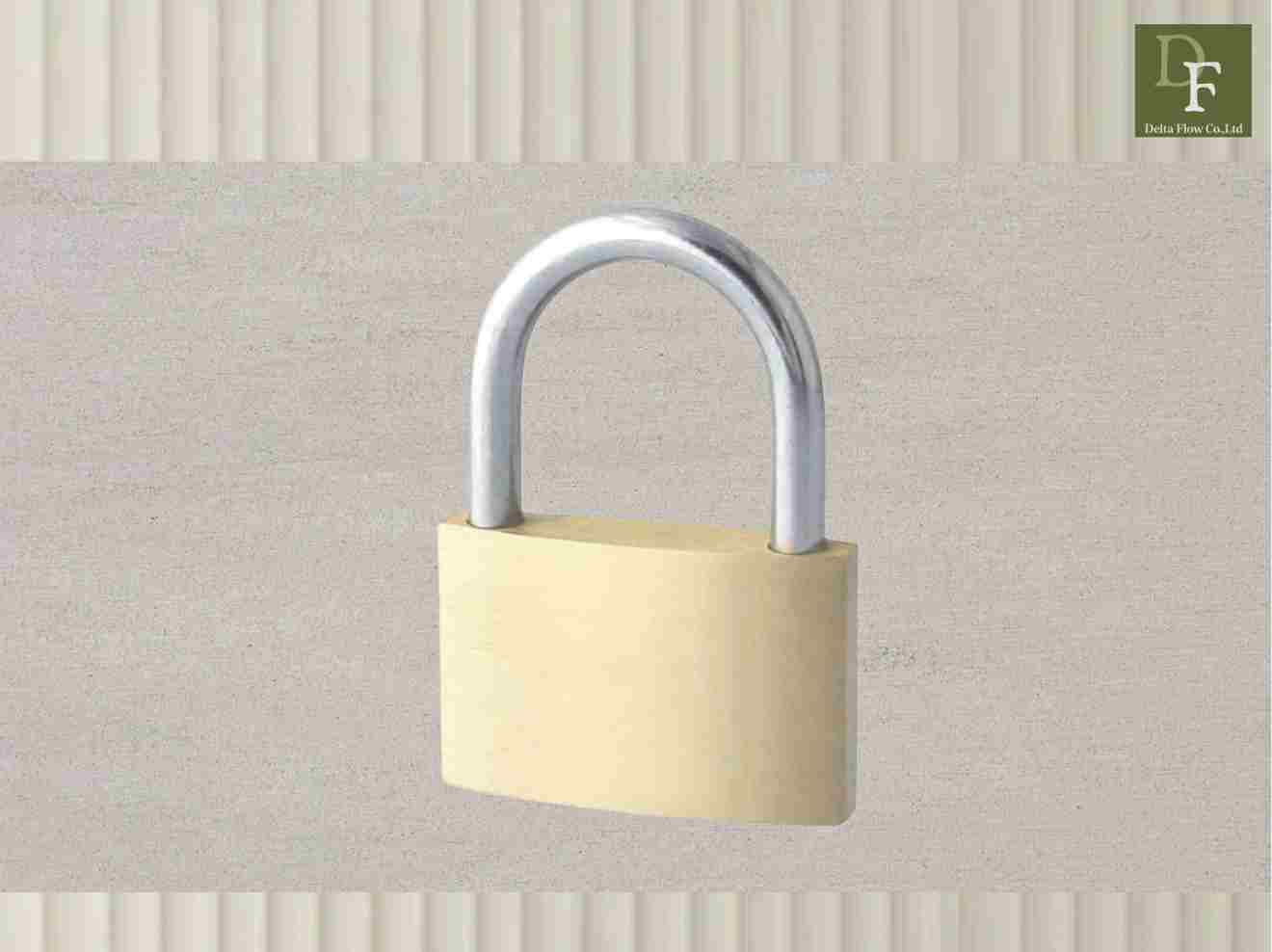 Thin-size Brass Padlock