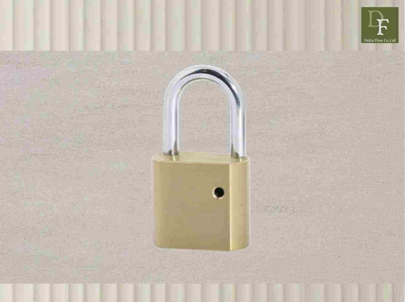Special Brass Padlocks Half Cylinder