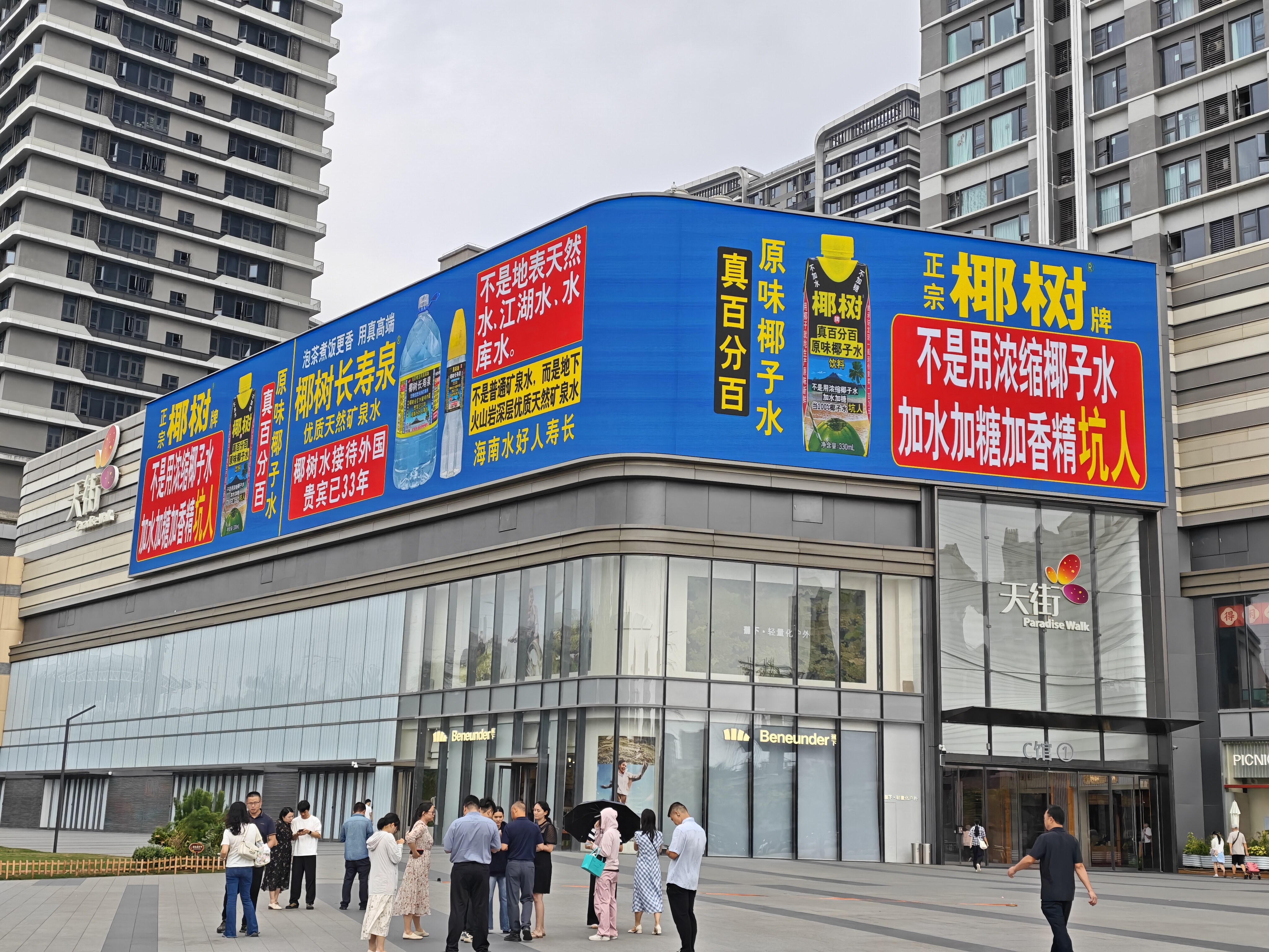 椰树品牌宣传