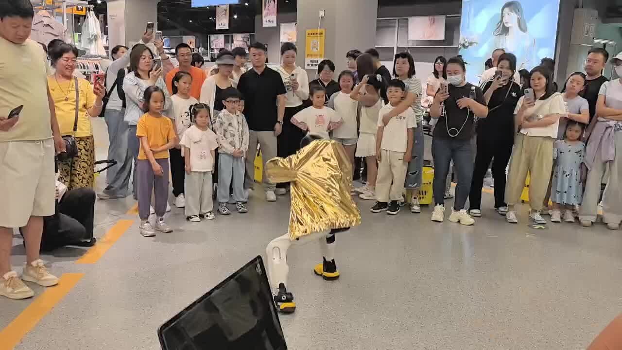 Zhiyuanqing Robot Rental Agibot Robot