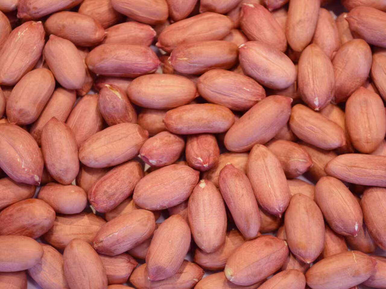 Peanut Kernels