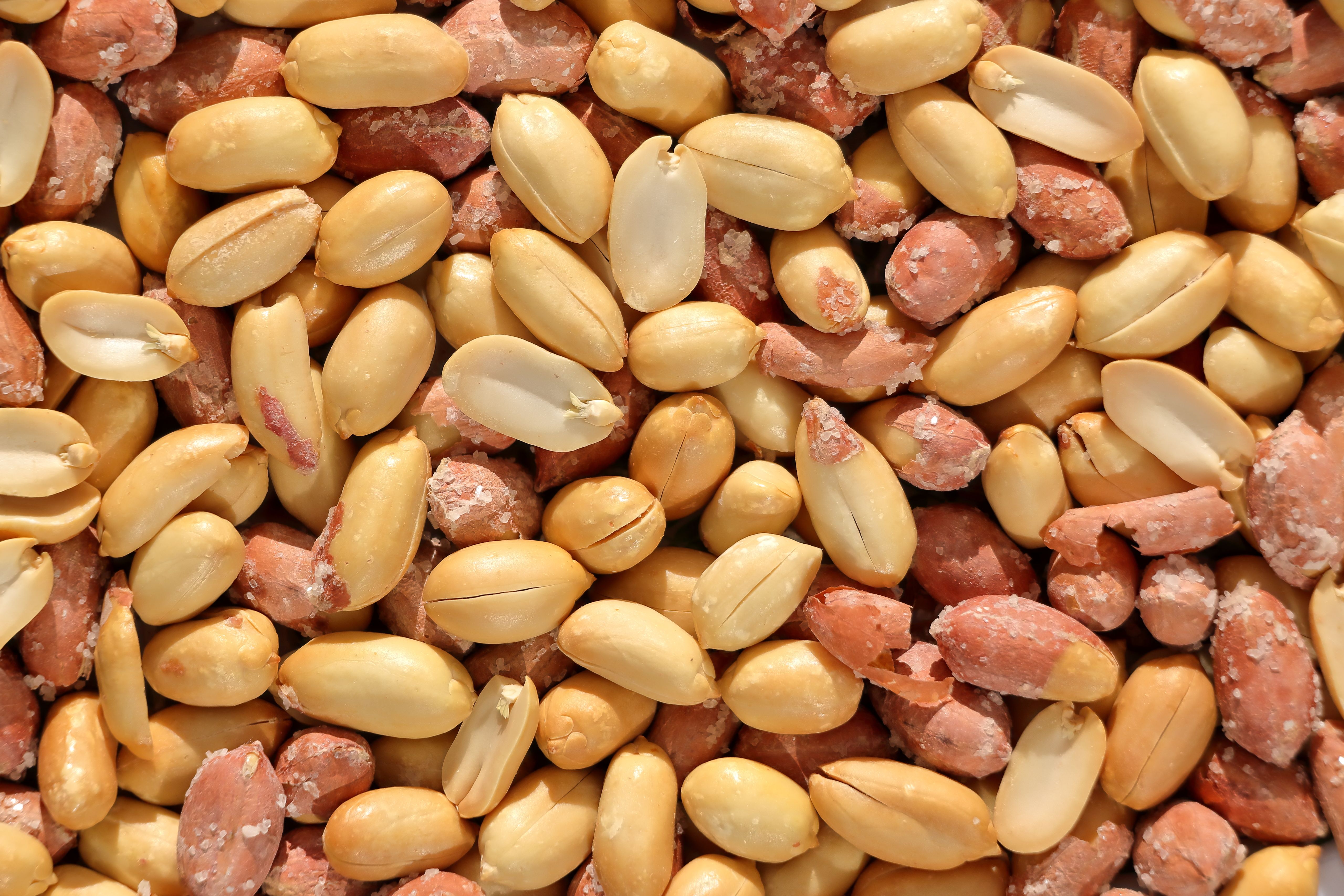Roasted Peanuts
