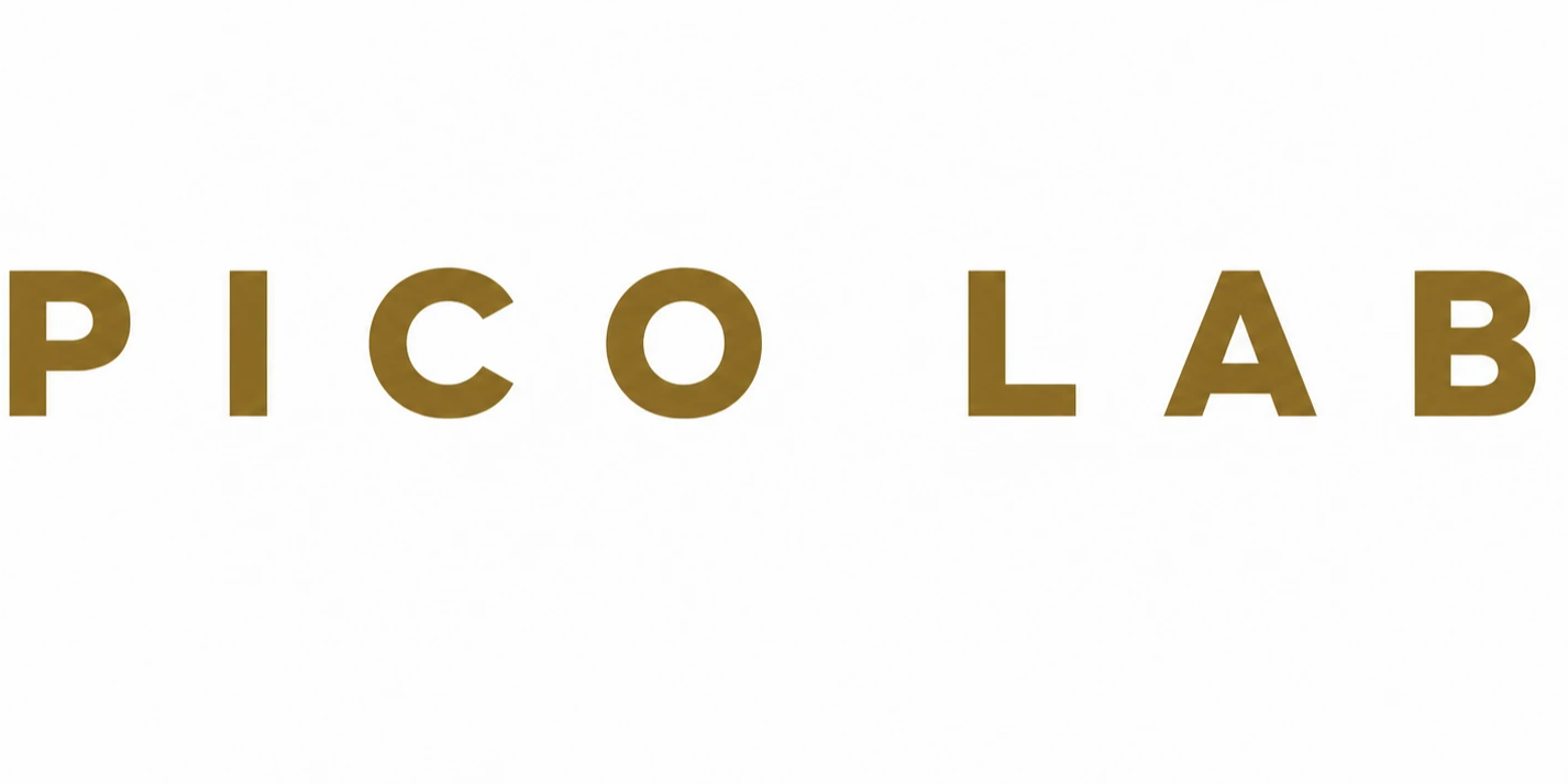 PICO LAB Logo