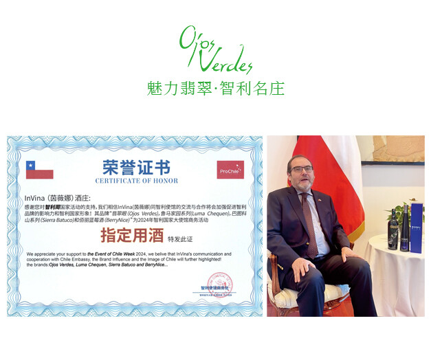 智利官方推荐与认证