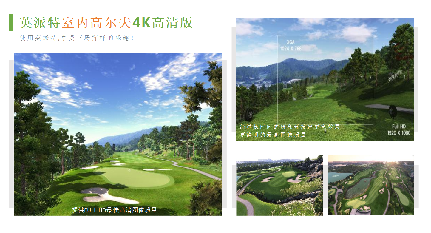 专业级人造果岭
