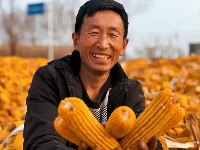 张志强