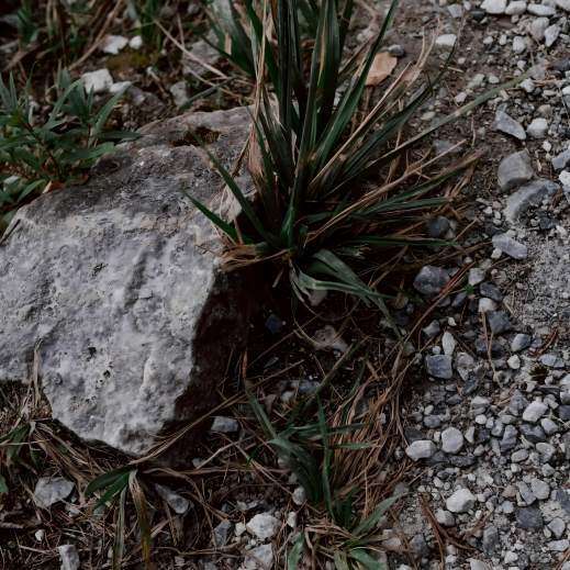 Mower operating on rough rocky terrain with gravel and debris