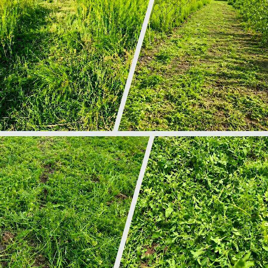 Mower with different attachments for four seasons usage