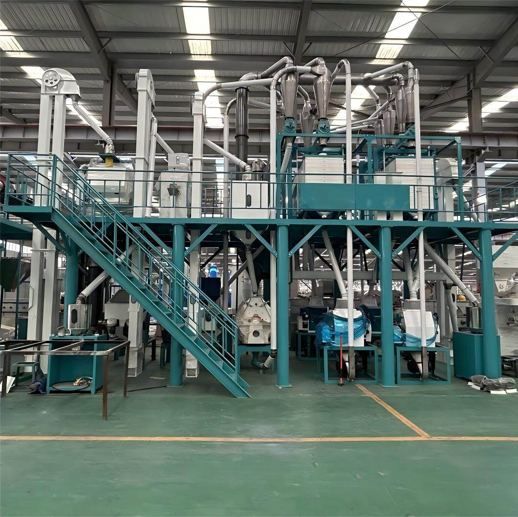 30-ton-per-day maize flour processing plant