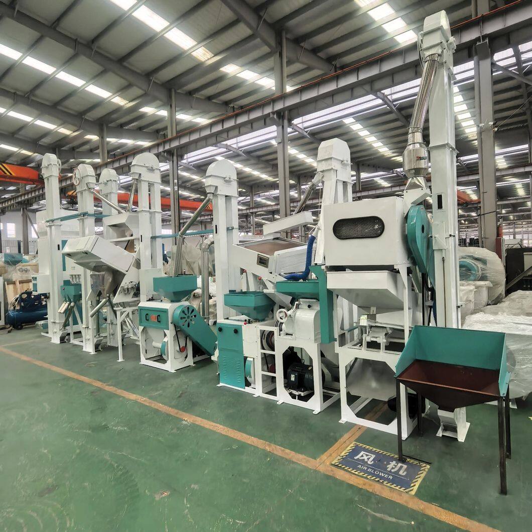 20 ton/day rice production line