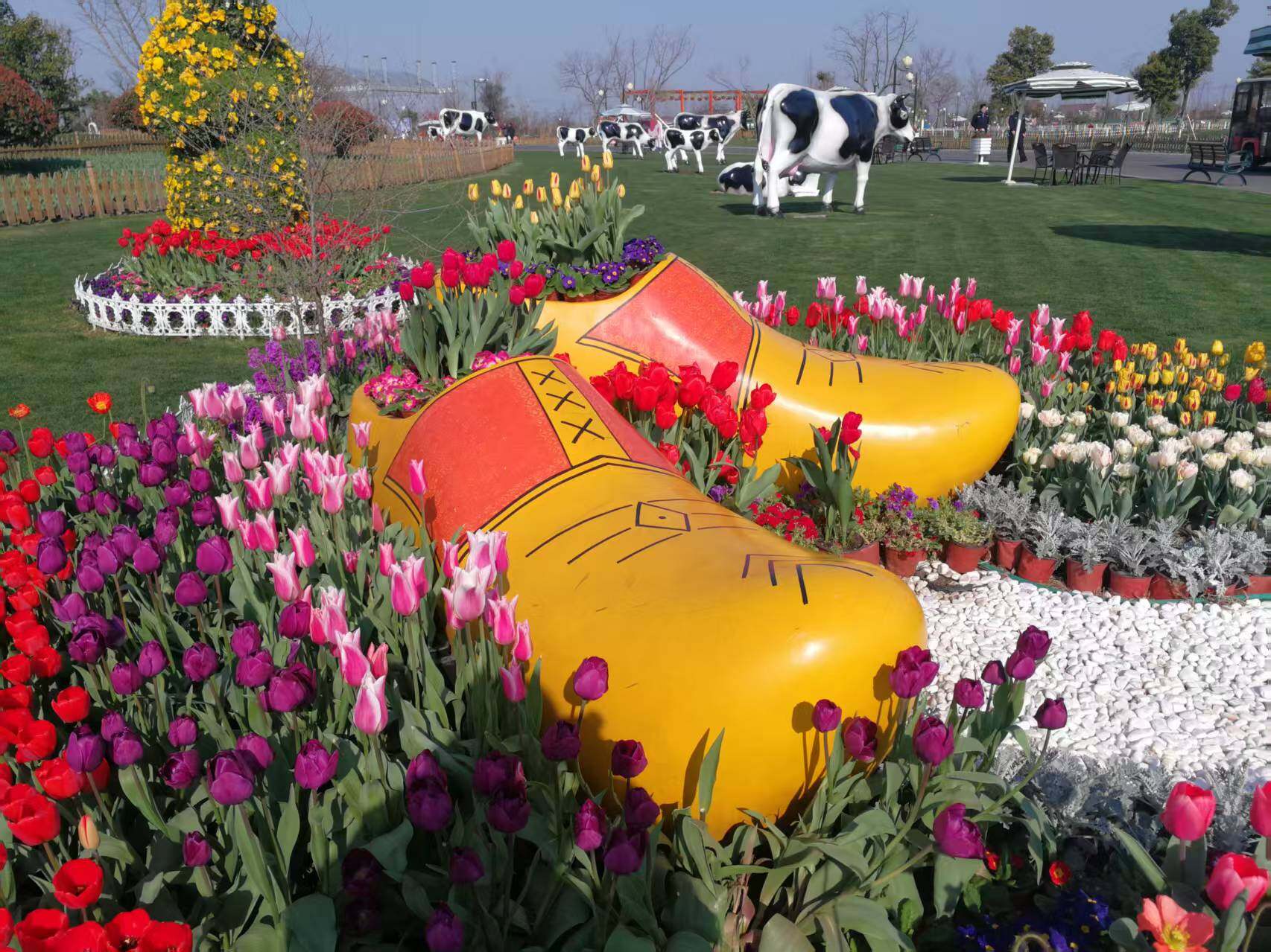 Tulip Festival — Exhibition