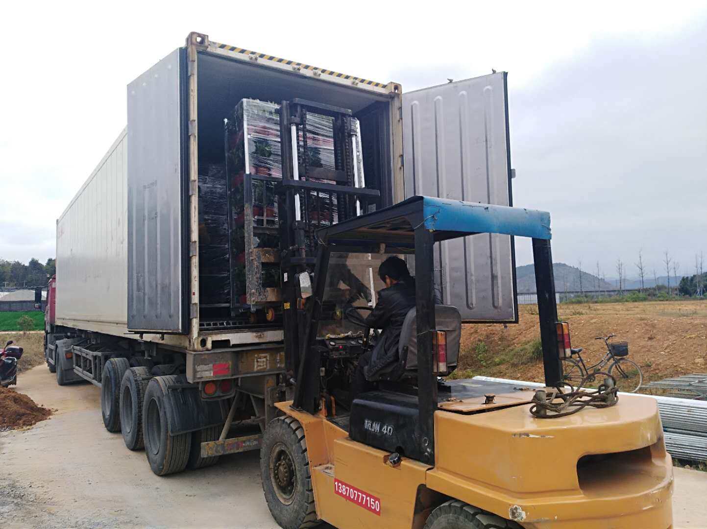 Container loading & export