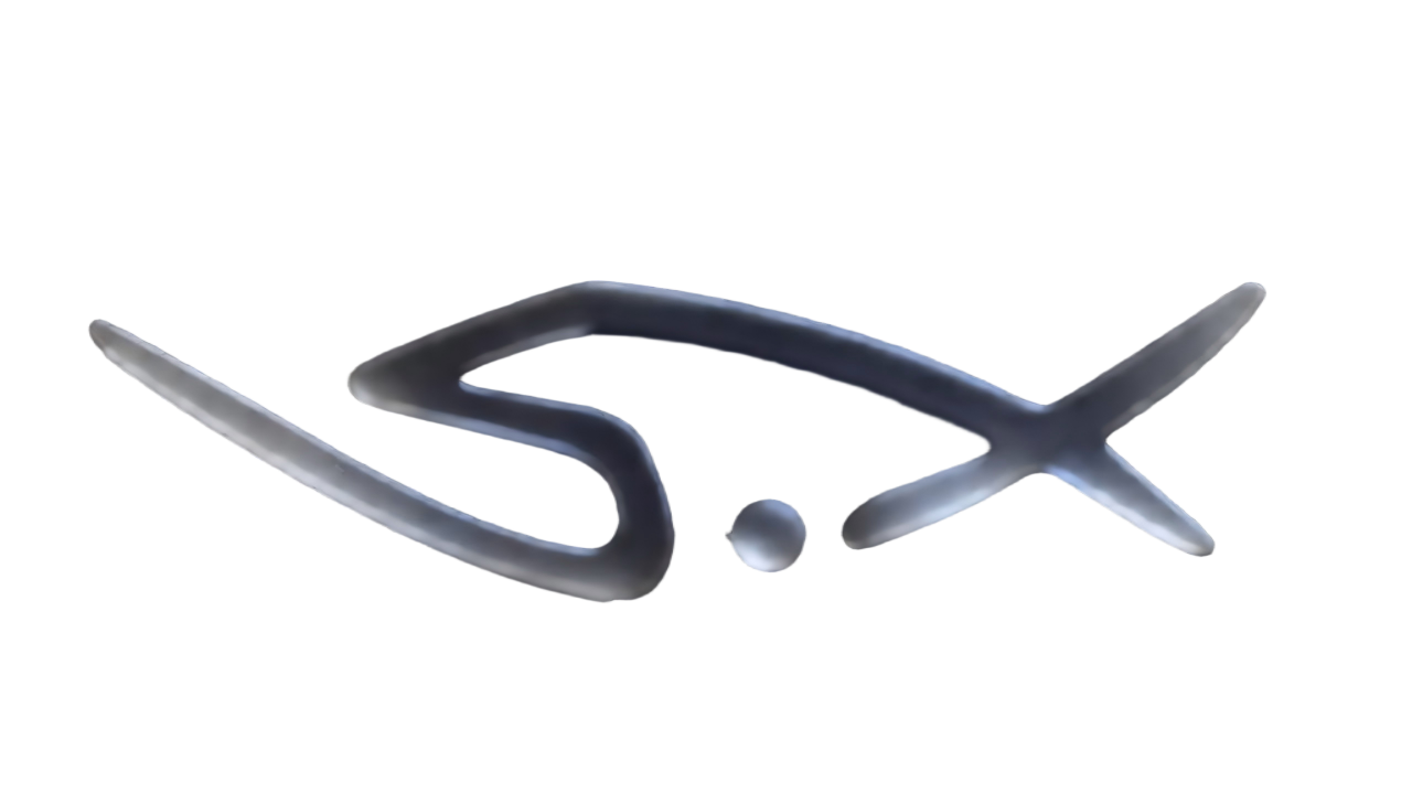 samsara logo