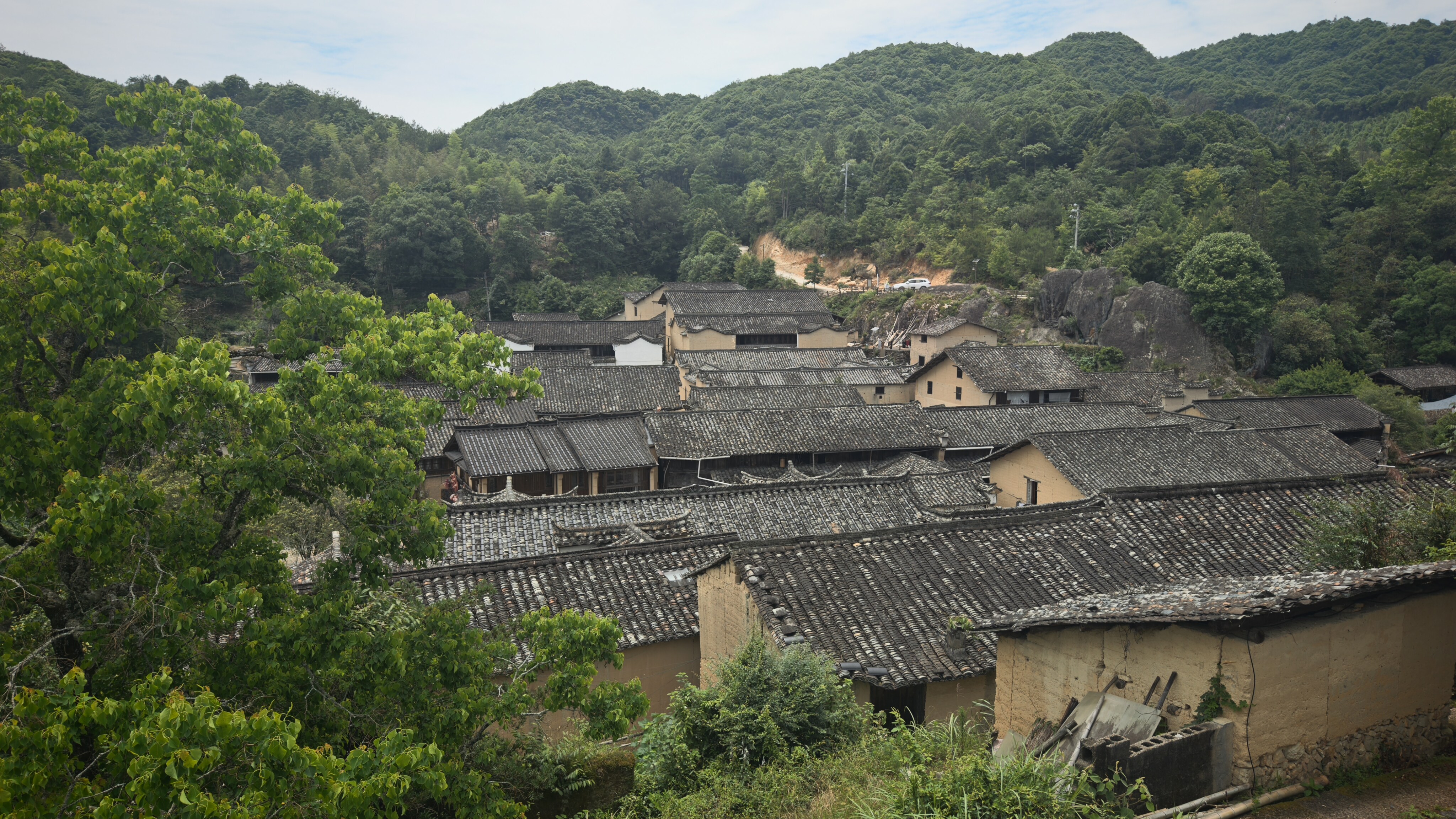 深耕生态康养，探寻旅居新境｜联途攸攸龙泉旅居养老实地考察纪实