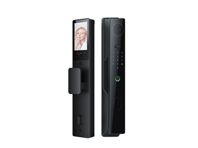 P30 Graffiti Wi-Fi Fully Automatic Smart Lock