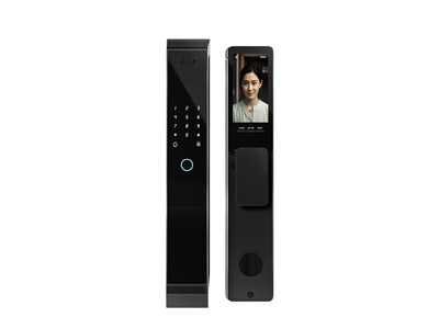 P20 All-in-One Smart Lock