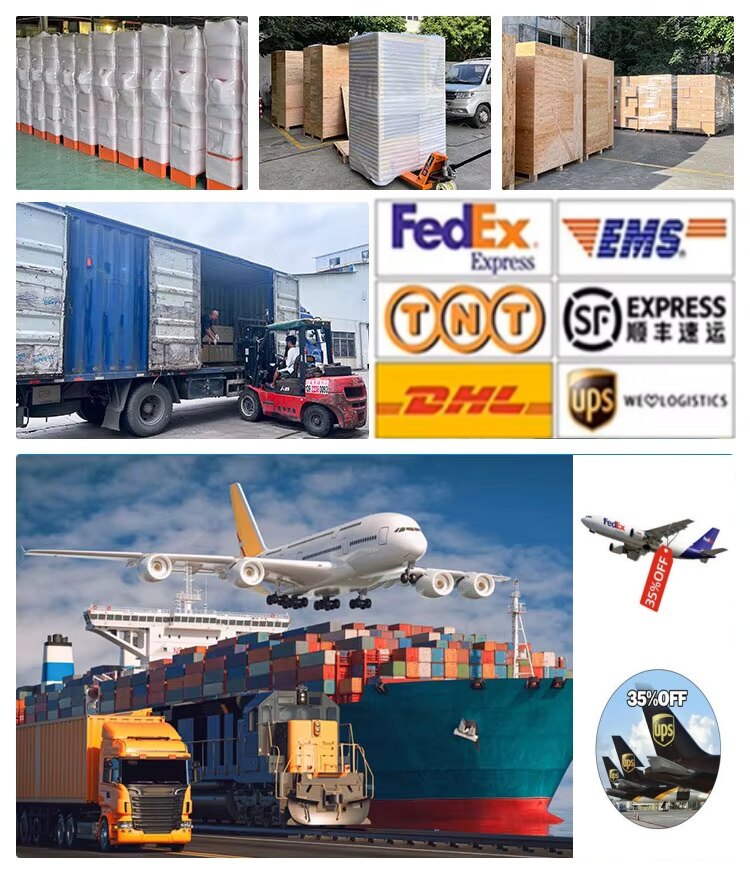 International Logistics Shipping