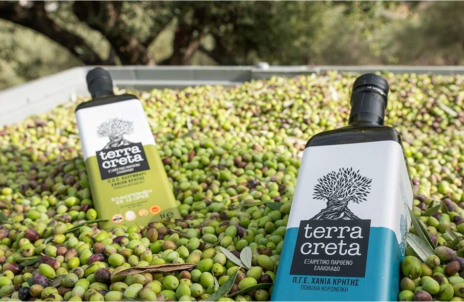 Terra Creta