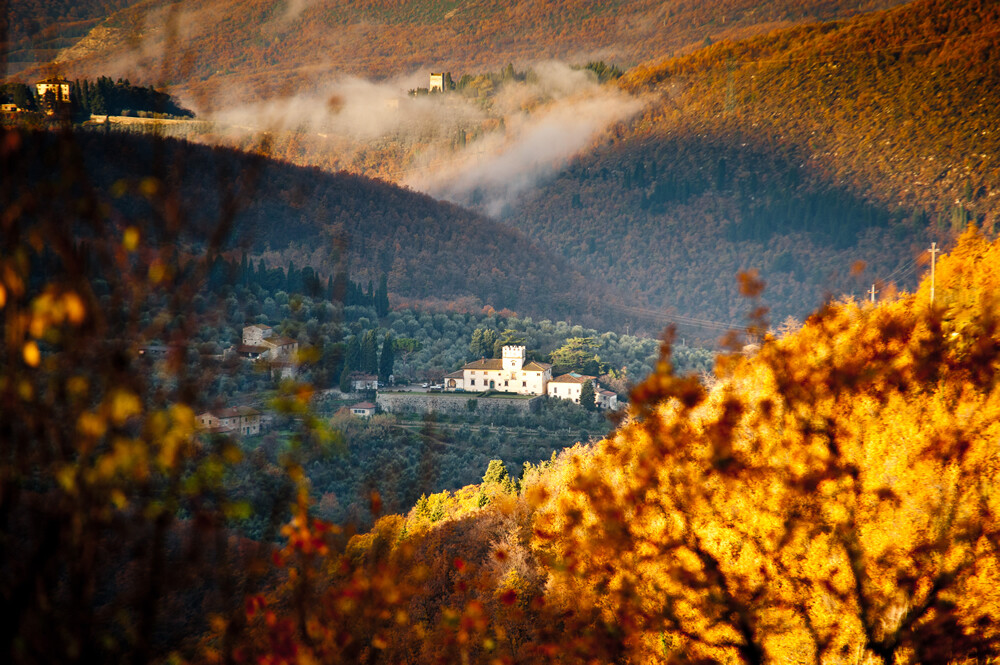 Laudemio Fattoria di Volmiano Organic