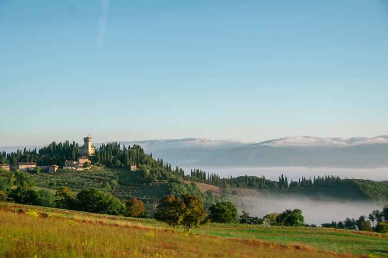 TREBBIO Castle Organic