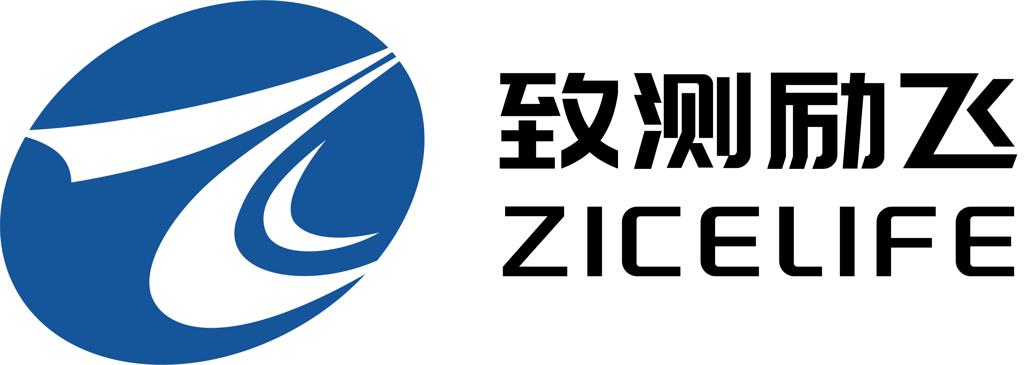 致测励飞Logo