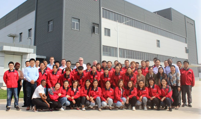 Our Team