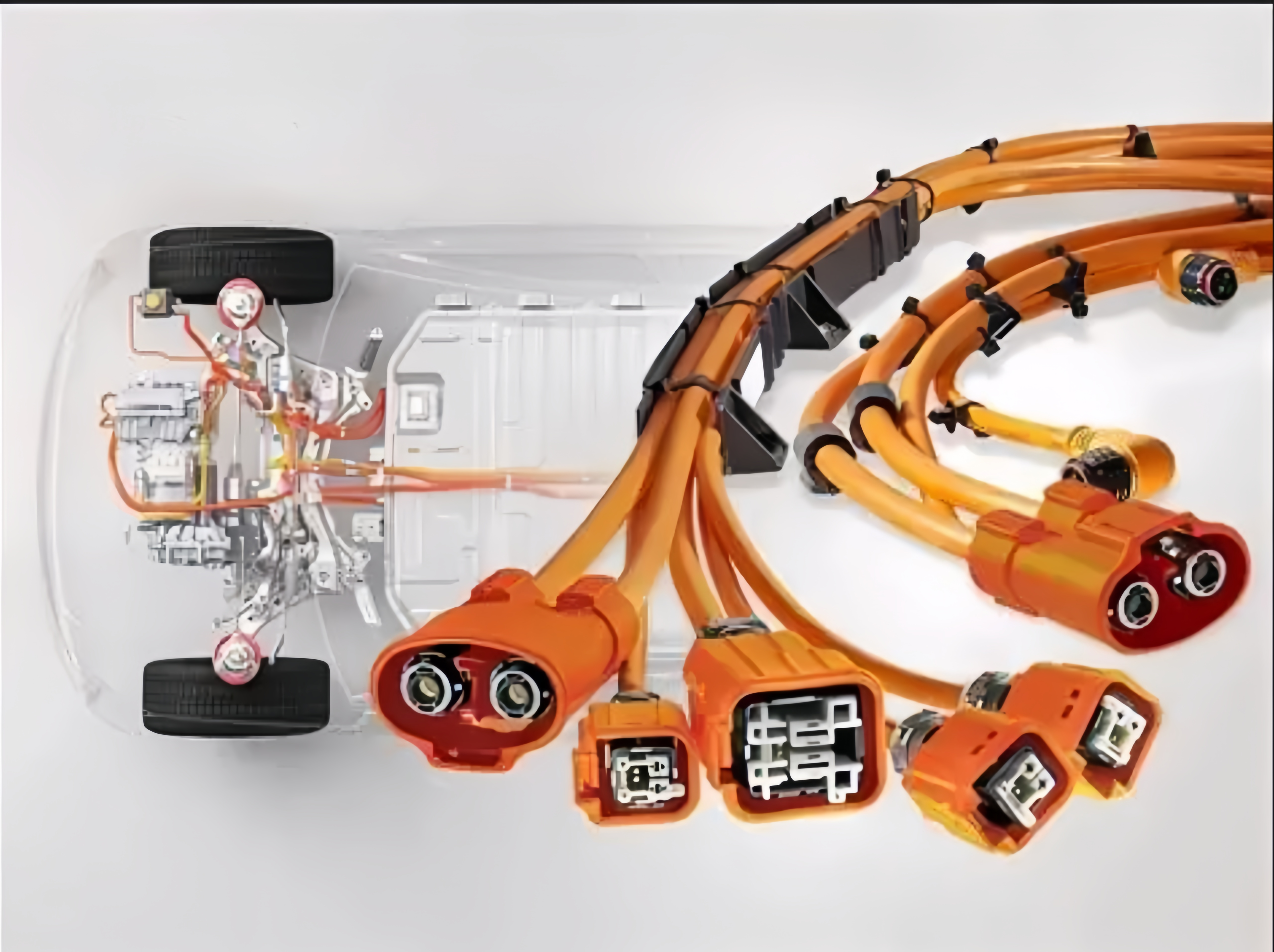 Special Vehicles Wire Harness - Image 1