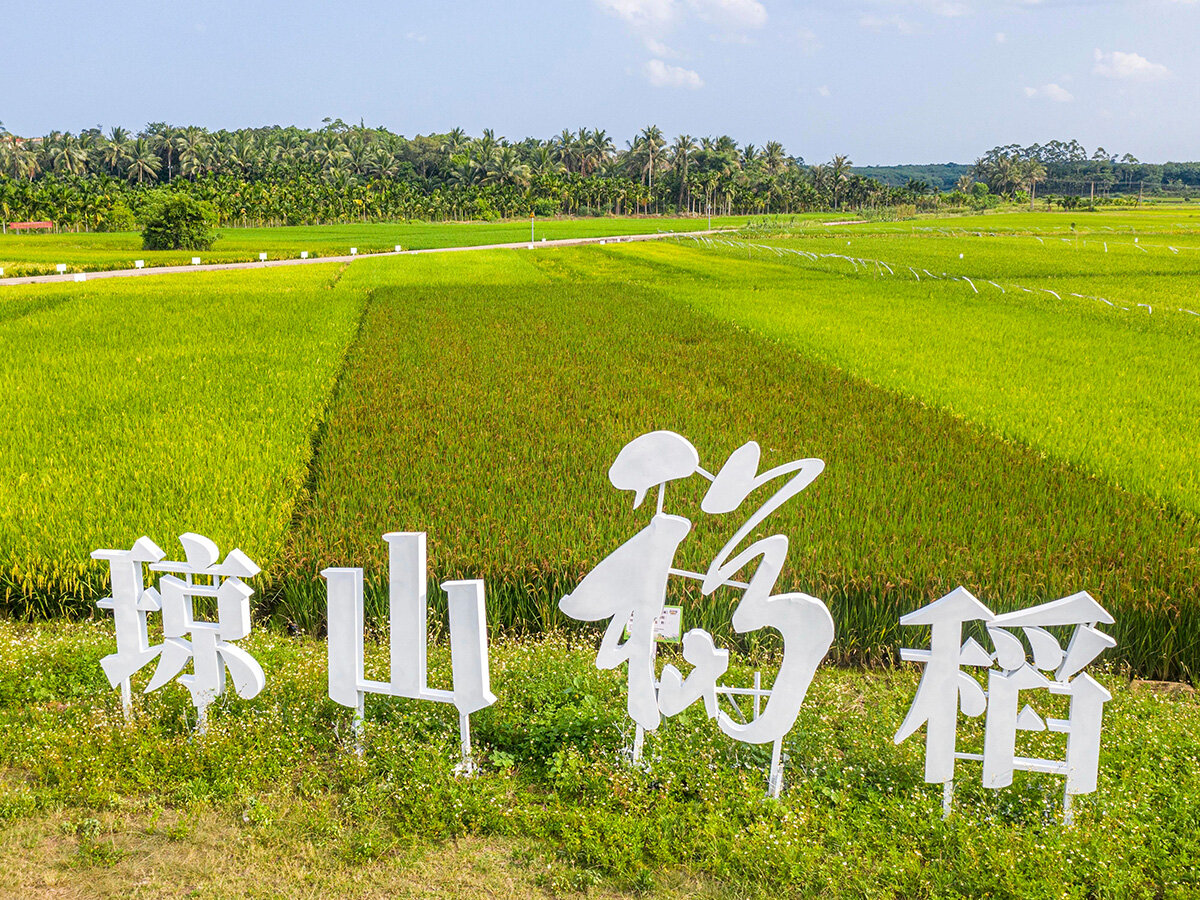 Hainan Wutianjia Agricultural Technology Co., Ltd. - Cultivation Base