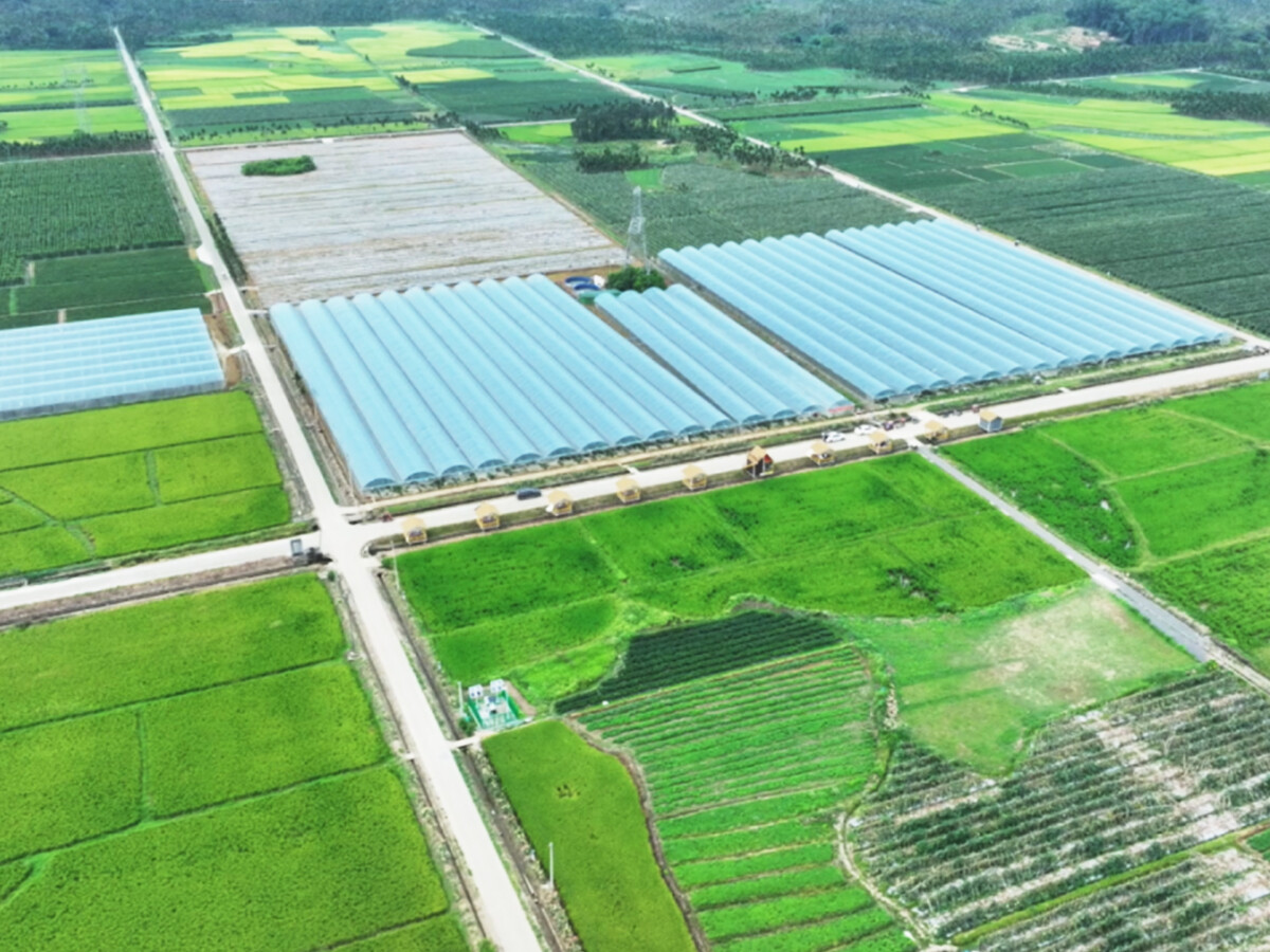 Hainan Fenghaoyang Agricultural Technology Co., Ltd. - Base