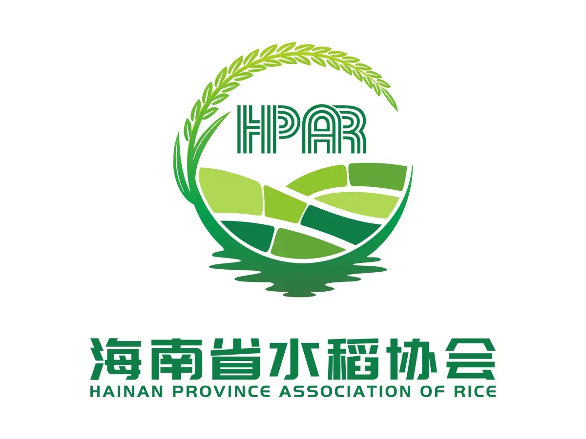 Tropical rice paddies in Hainan