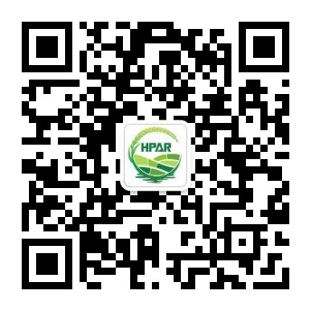 WeChat Official Account QR Code