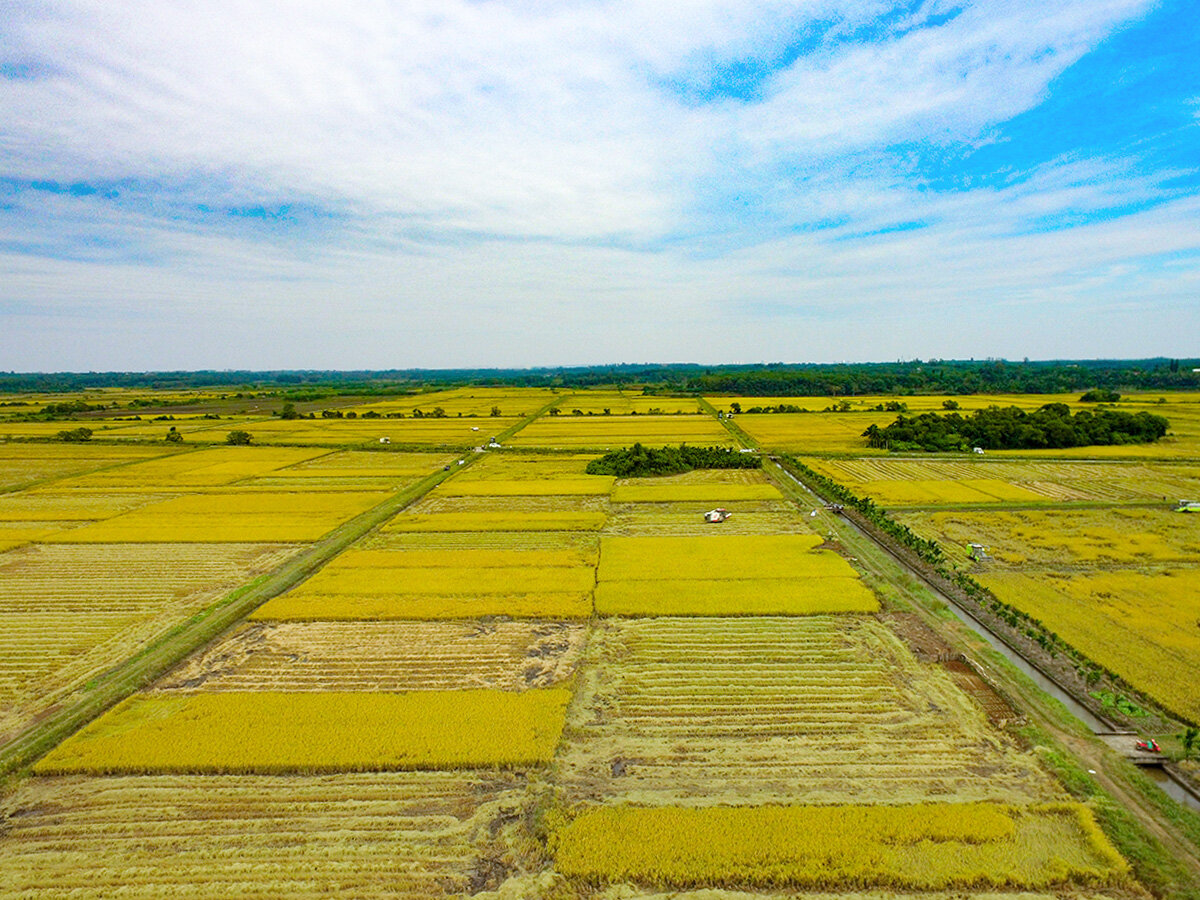 Hainan Wutianjia Agricultural Technology Co., Ltd. - Harvest Site Photos