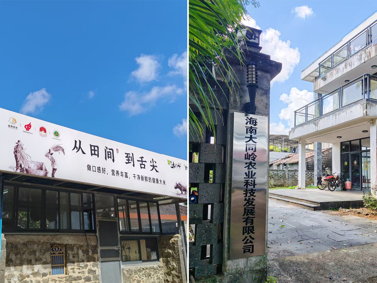 Hainan Datongling Agricultural Technology Development Co., Ltd. - Company Showcase