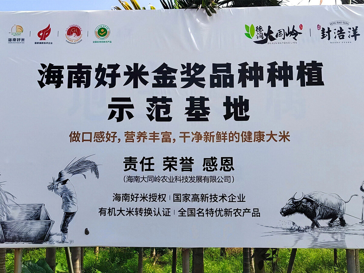 Hainan Datongling Agricultural Technology Development Co., Ltd. - Planting Base