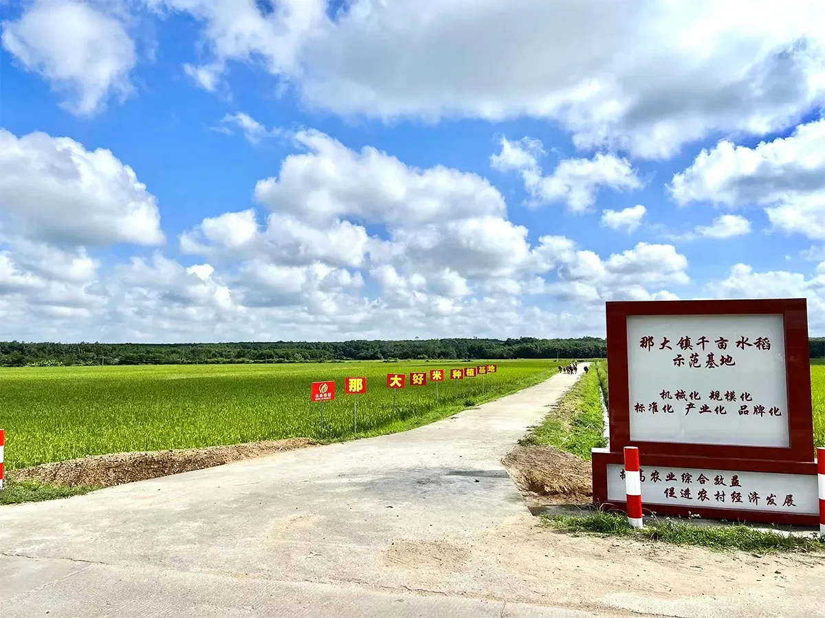 Hainan Nongle Chunlei Ecological Agriculture Development Co., Ltd. - Planting Base